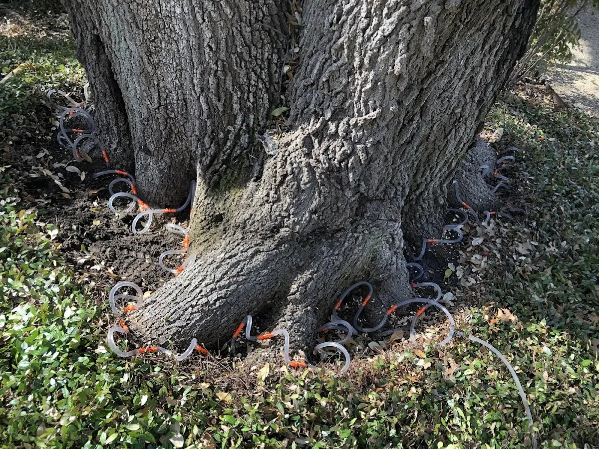 Detailed Shrub and Hedge Trimming job site in Orland